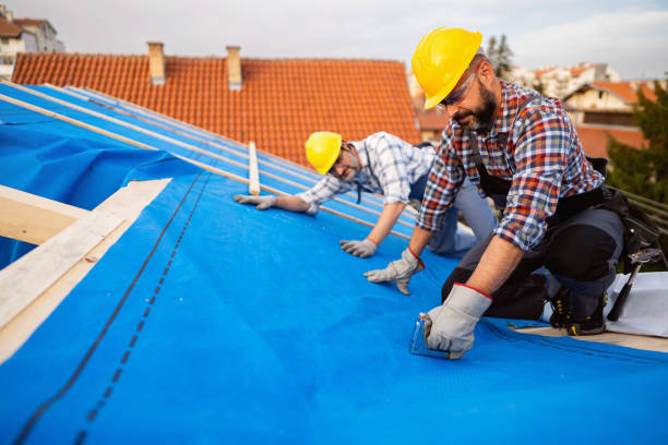 Best Roof Coating Services  in Carmi, IL